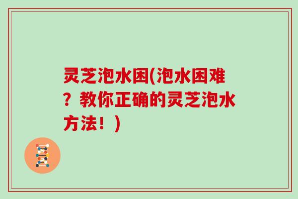灵芝泡水困(泡水困难？教你正确的灵芝泡水方法！)