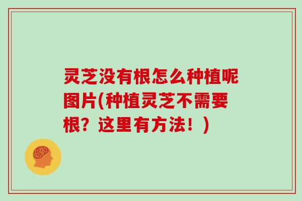 灵芝没有根怎么种植呢图片(种植灵芝不需要根?这里有方法!)