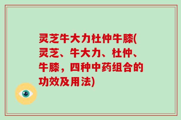 灵芝牛大力杜仲牛膝(灵芝、牛大力、杜仲、牛膝,四种中药组合的功效及用法)