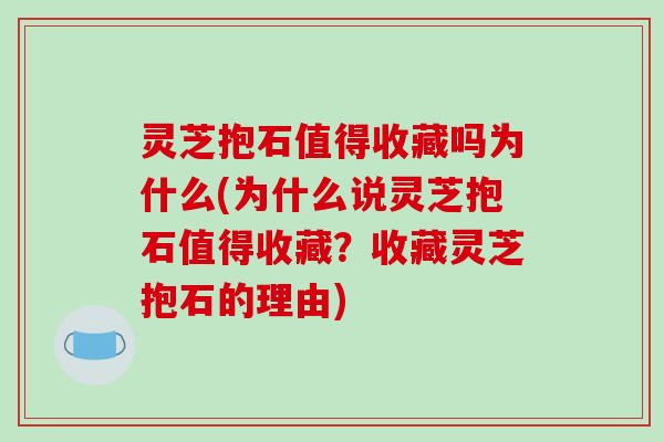 灵芝抱石值得收藏吗为什么(为什么说灵芝抱石值得收藏？收藏灵芝抱石的理由)