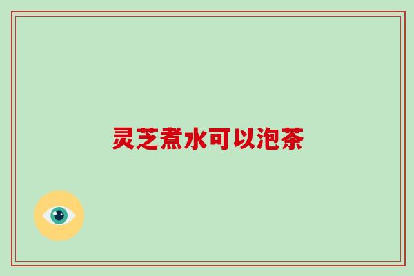 灵芝煮水可以泡茶