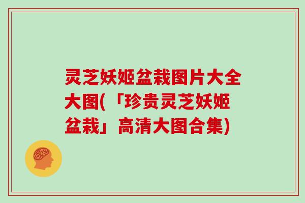 灵芝妖姬盆栽图片大全大图(「珍贵灵芝妖姬盆栽」高清大图合集)