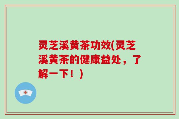 灵芝溪黄茶功效(灵芝溪黄茶的健康益处,了解一下!)