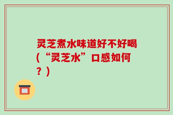 灵芝煮水味道好不好喝(“灵芝水”口感如何?)