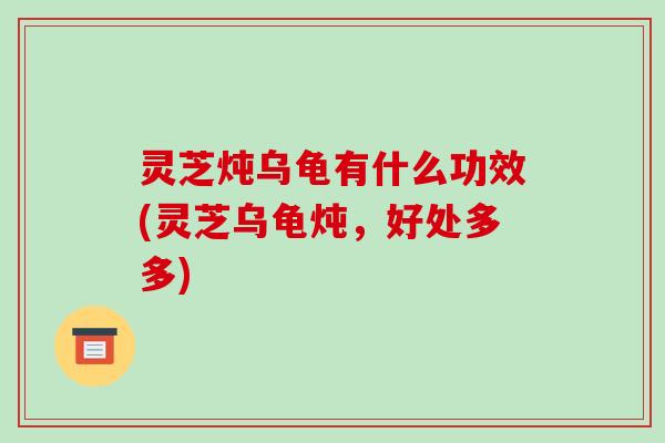 灵芝炖乌龟有什么功效(灵芝乌龟炖，好处多多)