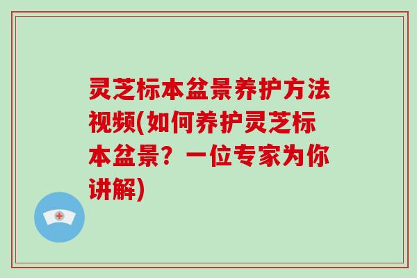 灵芝标本盆景养护方法视频(如何养护灵芝标本盆景?一位专家为你讲解)