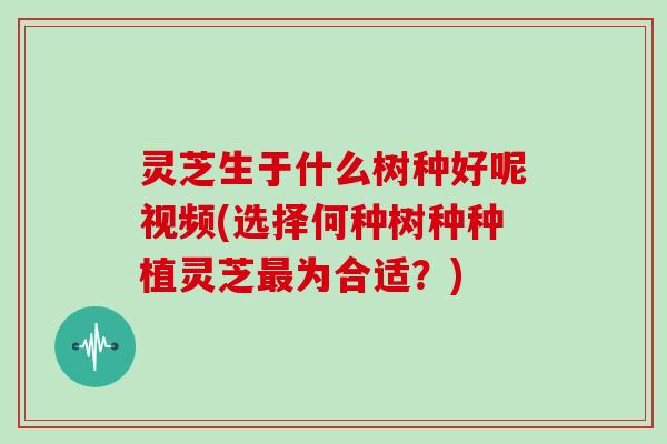 灵芝生于什么树种好呢视频(选择何种树种种植灵芝最为合适?)