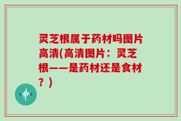 灵芝根属于药材吗图片高清(高清图片:灵芝根——是药材还是食材?)