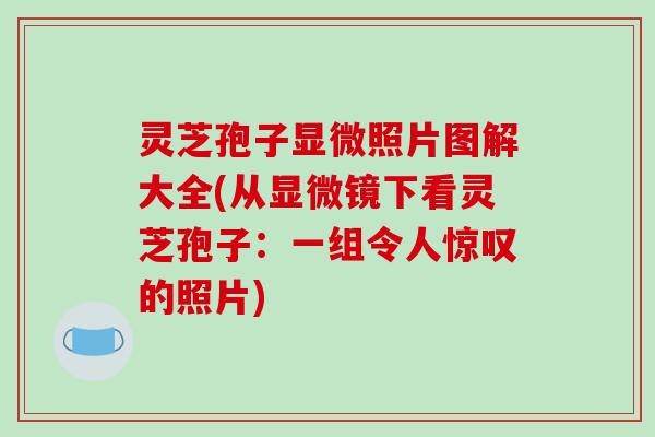 灵芝孢子显微照片图解大全(从显微镜下看灵芝孢子：一组令人惊叹的照片)