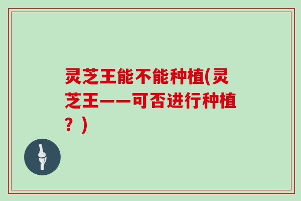 灵芝王能不能种植(灵芝王——可否进行种植？)