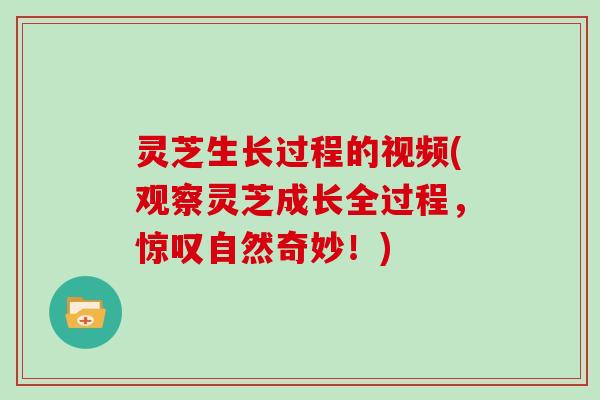 灵芝生长过程的视频(观察灵芝成长全过程，惊叹自然奇妙！)