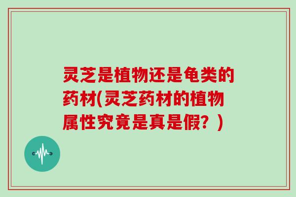 灵芝是植物还是龟类的药材(灵芝药材的植物属性究竟是真是假？)