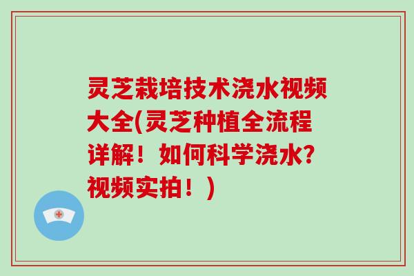 灵芝栽培技术浇水视频大全(灵芝种植全流程详解！如何科学浇水？视频实拍！)