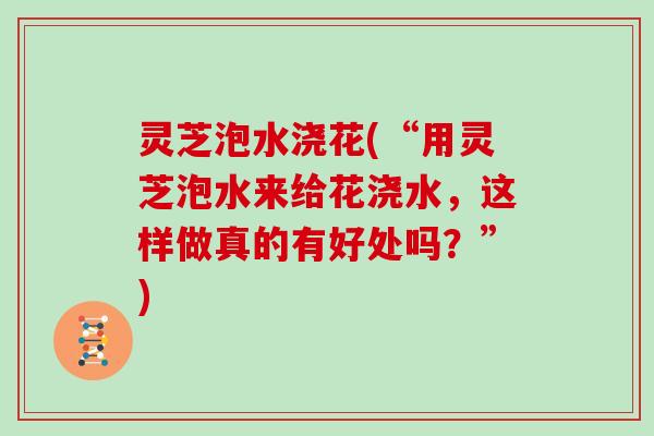 灵芝泡水浇花(“用灵芝泡水来给花浇水，这样做真的有好处吗？”)