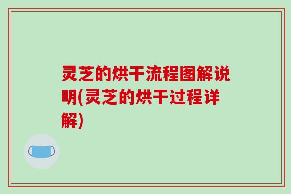 灵芝的烘干流程图解说明(灵芝的烘干过程详解)