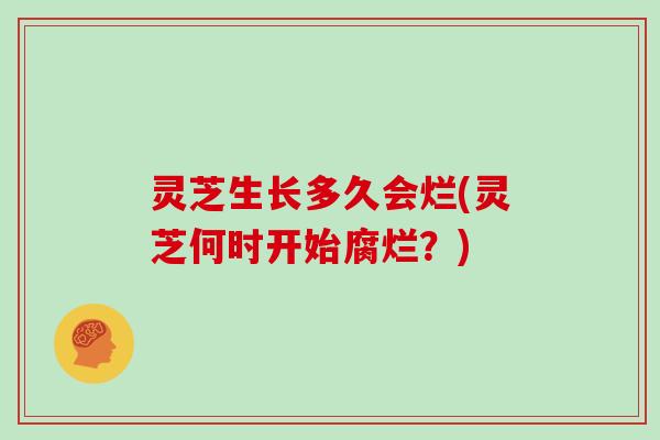 灵芝生长多久会烂(灵芝何时开始腐烂？)