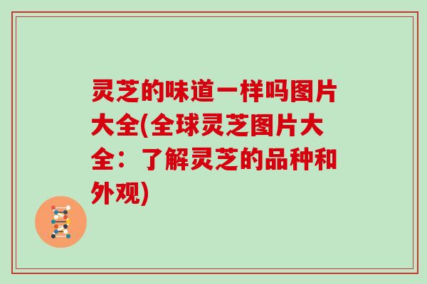 灵芝的味道一样吗图片大全(全球灵芝图片大全：了解灵芝的品种和外观)