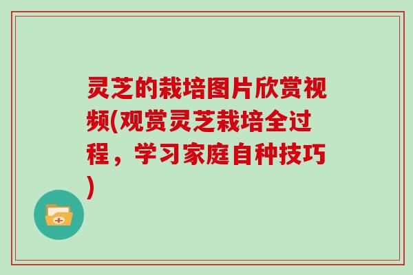 灵芝的栽培图片欣赏视频(观赏灵芝栽培全过程，学习家庭自种技巧)