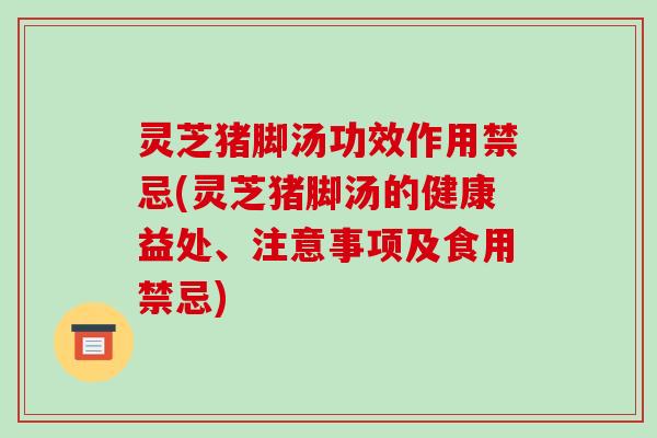灵芝猪脚汤功效作用禁忌(灵芝猪脚汤的健康益处、注意事项及食用禁忌)