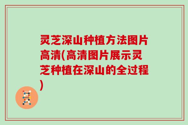 灵芝深山种植方法图片高清(高清图片展示灵芝种植在深山的全过程)
