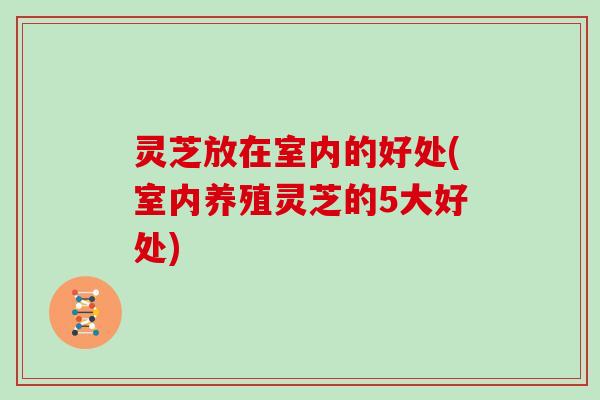 灵芝放在室内的好处(室内养殖灵芝的5大好处)