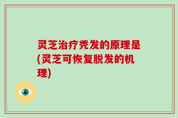 灵芝治疗秃发的原理是(灵芝可恢复脱发的机理)