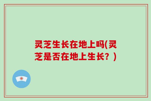 灵芝生长在地上吗(灵芝是否在地上生长?)