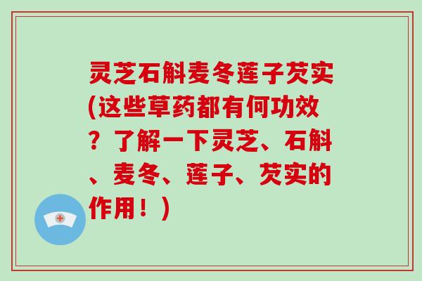 灵芝石斛麦冬莲子芡实(这些草药都有何功效？了解一下灵芝、石斛、麦冬、莲子、芡实的作用！)