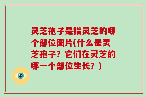 灵芝孢子是指灵芝的哪个部位图片(什么是灵芝孢子？它们在灵芝的哪一个部位生长？)