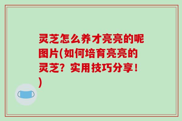 灵芝怎么养才亮亮的呢图片(如何培育亮亮的灵芝？实用技巧分享！)