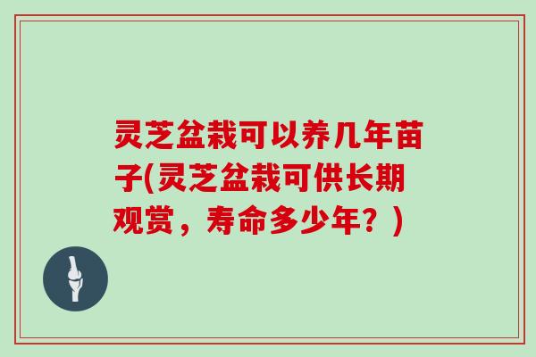 灵芝盆栽可以养几年苗子(灵芝盆栽可供长期观赏，寿命多少年？)