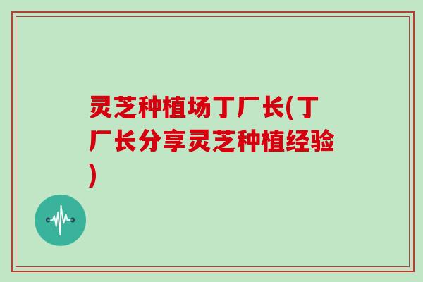 灵芝种植场丁厂长(丁厂长分享灵芝种植经验)