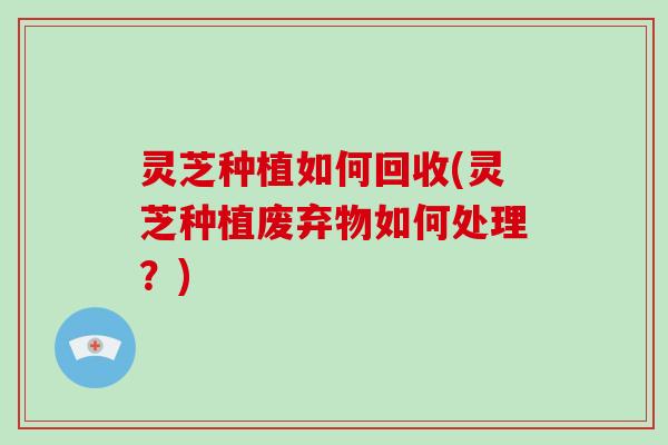 灵芝种植如何回收(灵芝种植废弃物如何处理？)