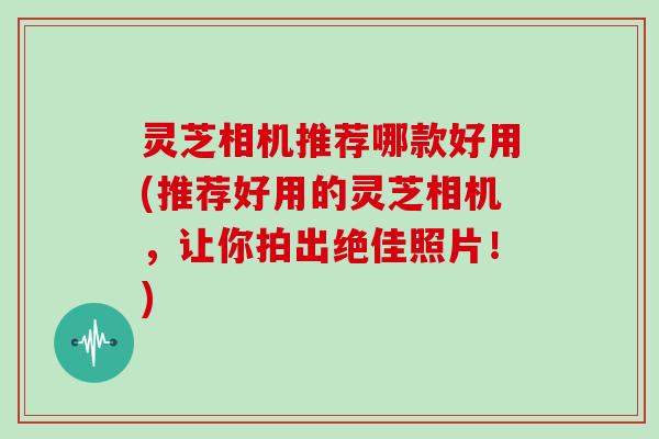 灵芝相机推荐哪款好用(推荐好用的灵芝相机，让你拍出绝佳照片！)