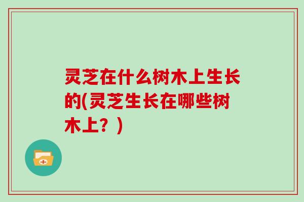 灵芝在什么树木上生长的(灵芝生长在哪些树木上？)