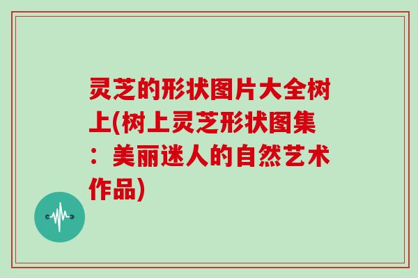 灵芝的形状图片大全树上(树上灵芝形状图集：美丽迷人的自然艺术作品)