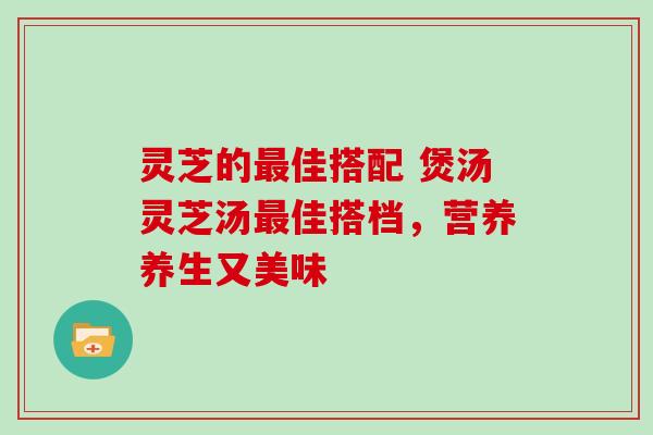 灵芝的最佳搭配 煲汤灵芝汤最佳搭档，营养养生又美味