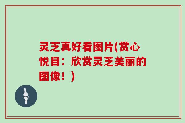 灵芝真好看图片(赏心悦目:欣赏灵芝美丽的图像!)