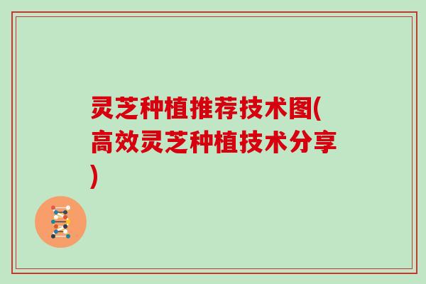 灵芝种植推荐技术图(高效灵芝种植技术分享)