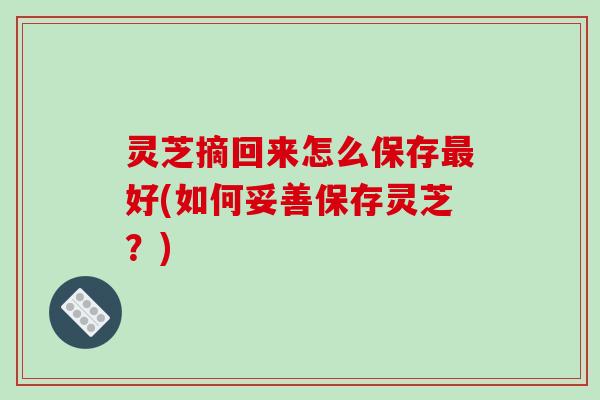 灵芝摘回来怎么保存最好(如何妥善保存灵芝？)