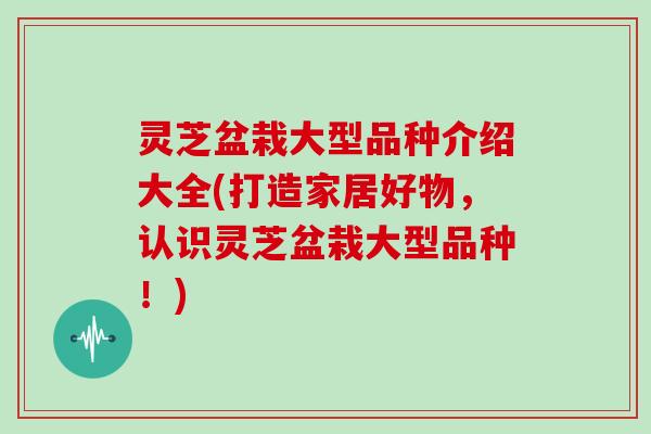 灵芝盆栽大型品种介绍大全(打造家居好物,认识灵芝盆栽大型品种!)