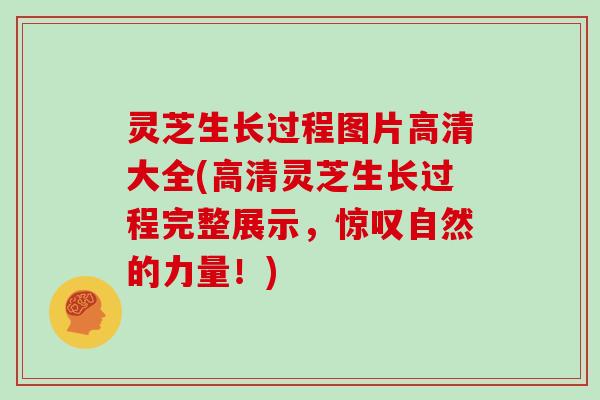 灵芝生长过程图片高清大全(高清灵芝生长过程完整展示，惊叹自然的力量！)