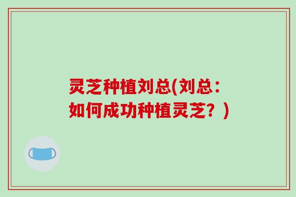 灵芝种植刘总(刘总:如何成功种植灵芝?)