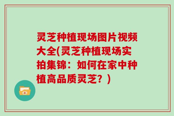 灵芝种植现场图片视频大全(灵芝种植现场实拍集锦:如何在家中种植高品质灵芝?)