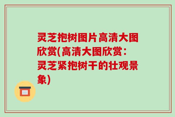 灵芝抱树图片高清大图欣赏(高清大图欣赏：灵芝紧抱树干的壮观景象)