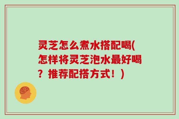 灵芝怎么煮水搭配喝(怎样将灵芝泡水最好喝?推荐配搭方式!)
