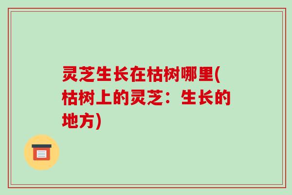 灵芝生长在枯树哪里(枯树上的灵芝:生长的地方)