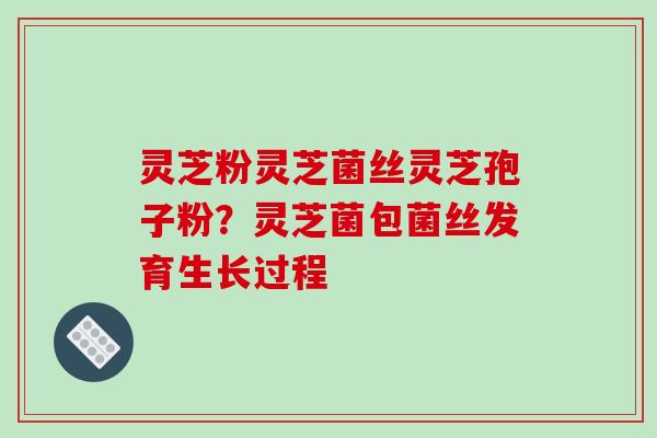 灵芝粉灵芝菌丝灵芝孢子粉?灵芝菌包菌丝发育生长过程