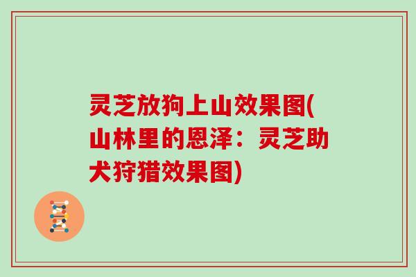 灵芝放狗上山效果图(山林里的恩泽:灵芝助犬狩猎效果图)