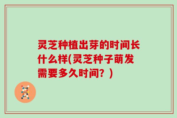 灵芝种植出芽的时间长什么样(灵芝种子萌发需要多久时间?)